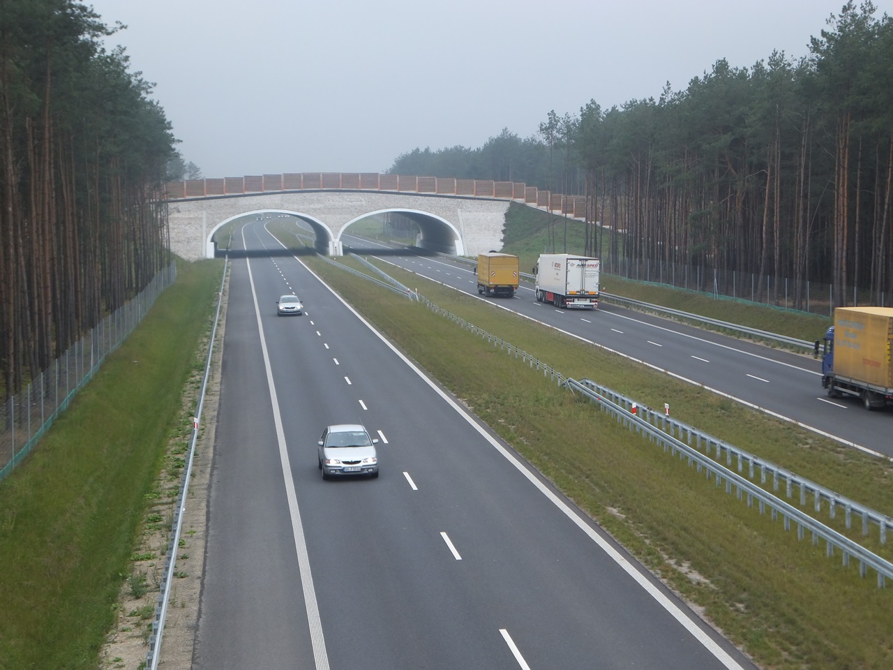 Droga Ekspresowa S8 (fot. K. Krzemiński)